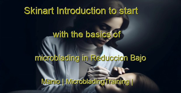 Skinart Introduction to start with the basics of microblading in Reduccion Bajo Manio | MicrobladingTraining | MicrobladingClasses | SkinartTraining-Chile